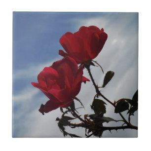 Red Roses Against a Bright Blue Sky Tile
