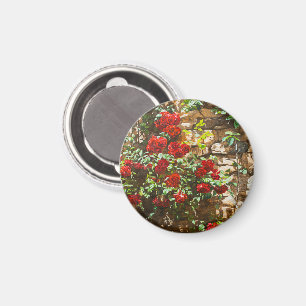 Red Roses Against a Stone Wall Magnet
