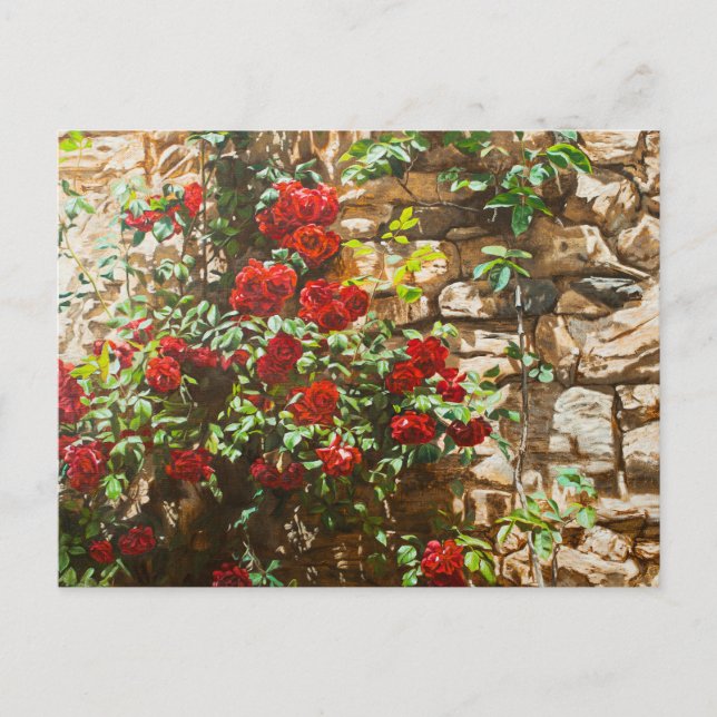 Red Roses Against a Stone Wall Postcard (Front)