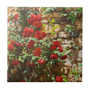 Red Roses Against a Stone Wall Tile