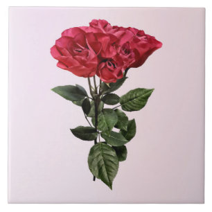 Red Roses and Leaves Tile