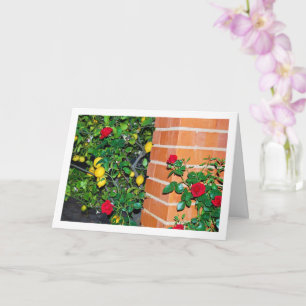Red Roses and Lemons Card