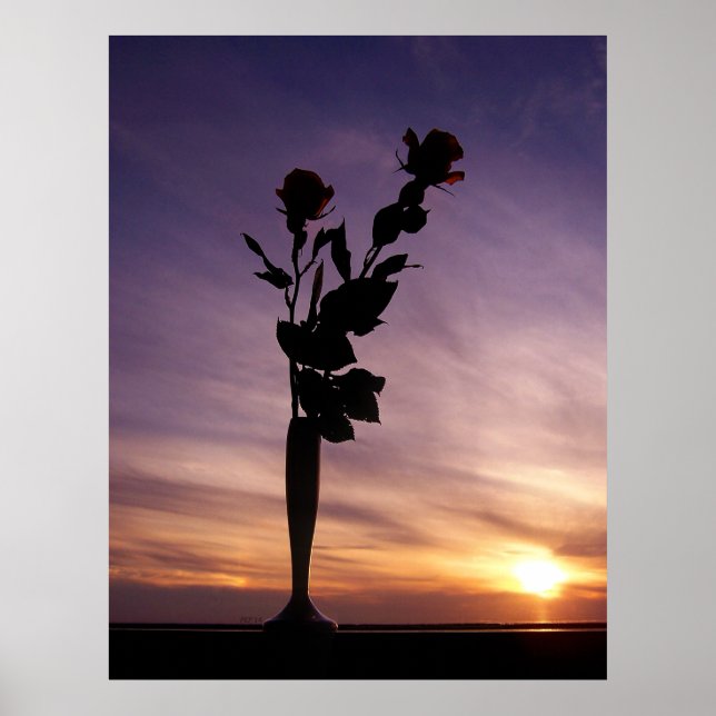 Red Roses At Sunset Poster (Front)