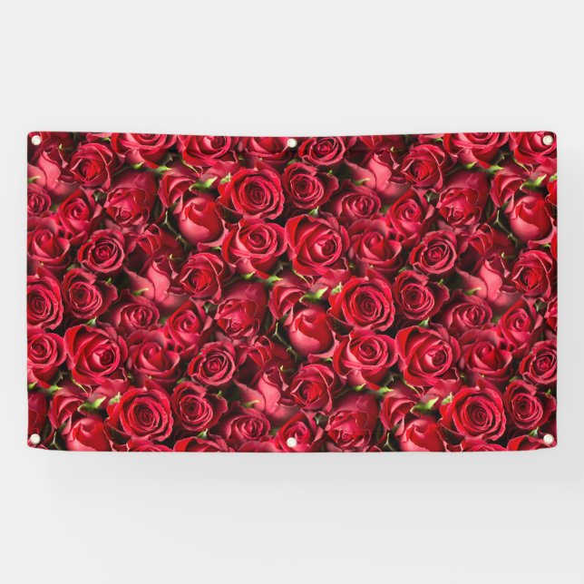 Red Roses Banner (Horizontal)