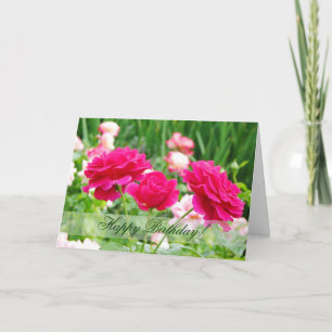 Red Roses Birthday Greeting Card