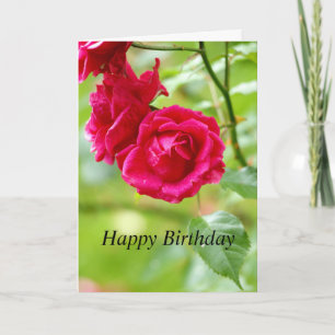 Red Roses Birthday Greetings Card