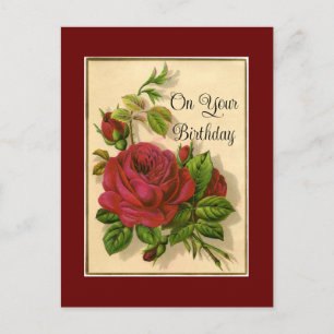 Red Roses Birthday Postcard