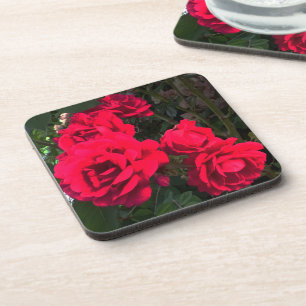 Red Roses Blooming Coaster