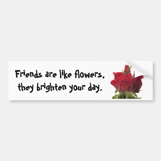 Red roses ... bumper sticker (Front)