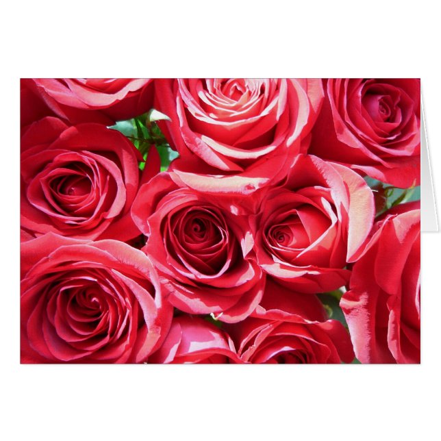 Red Roses Bunch card (Front Horizontal)