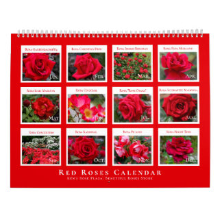Red Roses Calendar (Type-A)