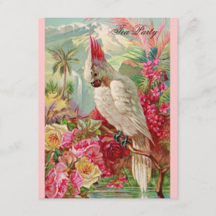 Red Roses & Cockatoo Vintage Art Invitation