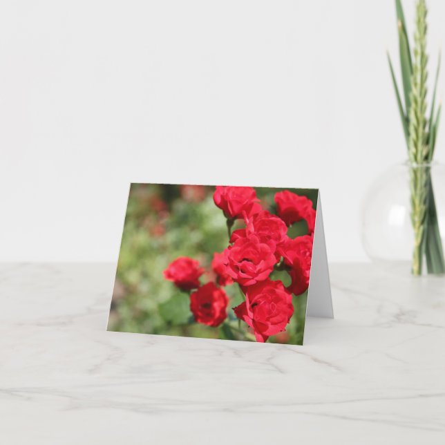 Red Roses Fade Into Focus Notecard (Front)