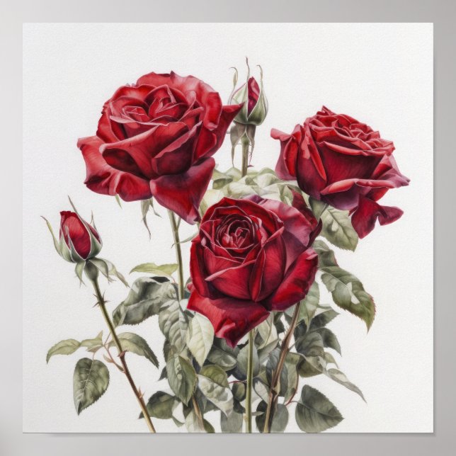 Red Roses Flower Art Print Poster (Front)
