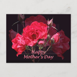 Red Roses Happy Mother's Day Postcard
