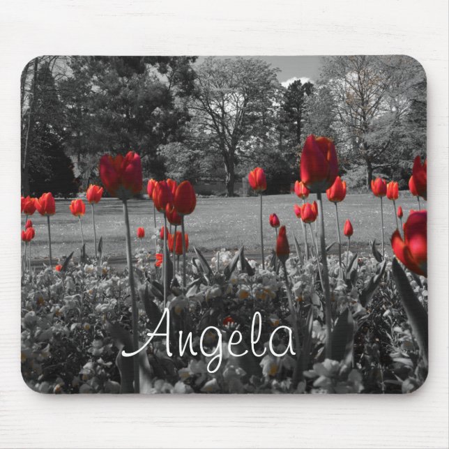 red roses in black and white garden photography mouse mat (Front)