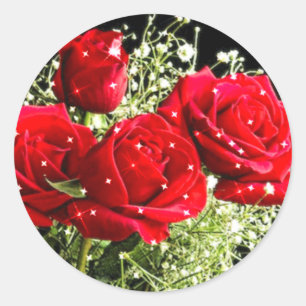 Red Roses,Love_ Classic Round Sticker