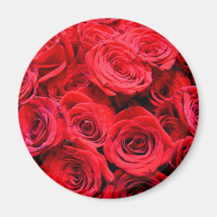 Red Roses Magnet