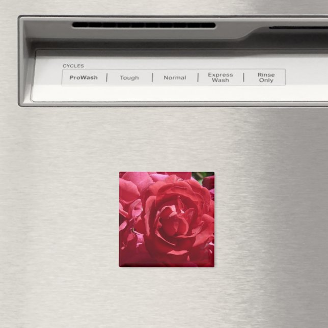 Red Roses Magnet (In Situ (Dishwasher))