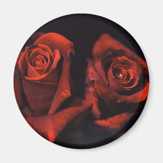 Red Roses Magnet
