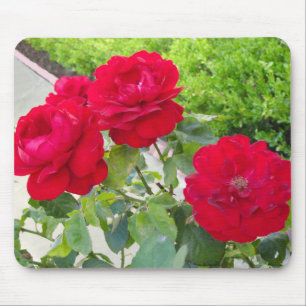Red Roses Mouse Mat