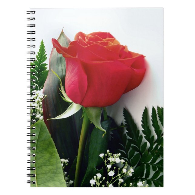 Red roses notebook (Front)