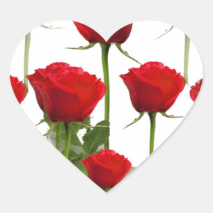RED ROSES ON WHITE HEART STICKER