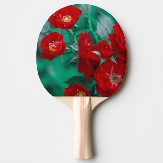 Red Roses Pale Green Leaves Ping Pong Paddle (Front)