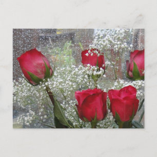 Red roses postcard
