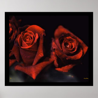 Red Roses Poster