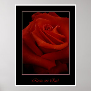 red roses poster