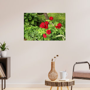 Red Roses Poster