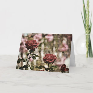 Red Roses Romantic Garden Card