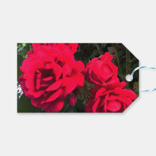 Red Roses Rosarium Gift Tags