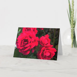 Red Roses Rosarium Holiday Card