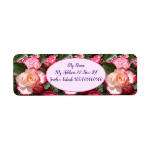 Red Roses Roses White Flower Floral Cottage Garden