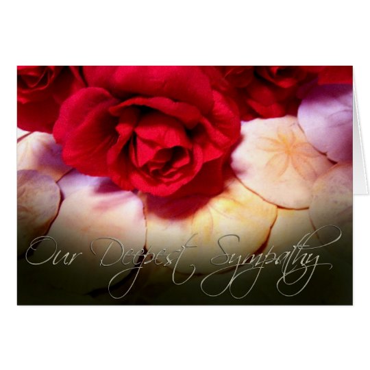 Red Roses Sand Dollars Deepest Sympathy Card