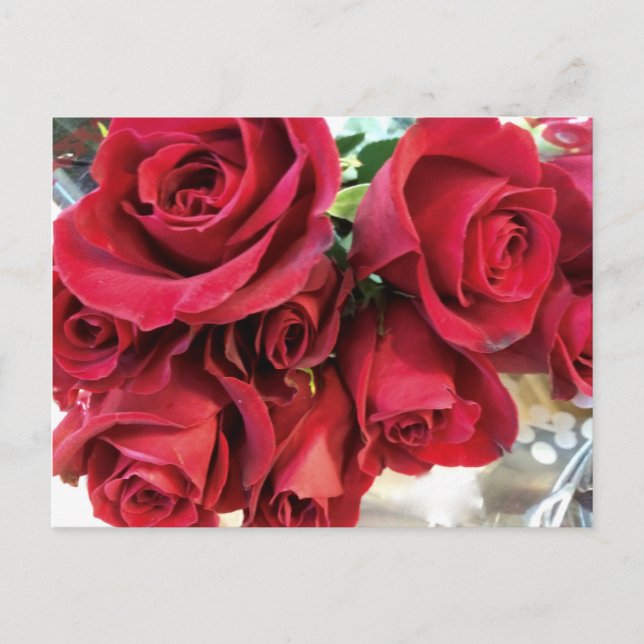 Red roses Save the Date postcard (Front)