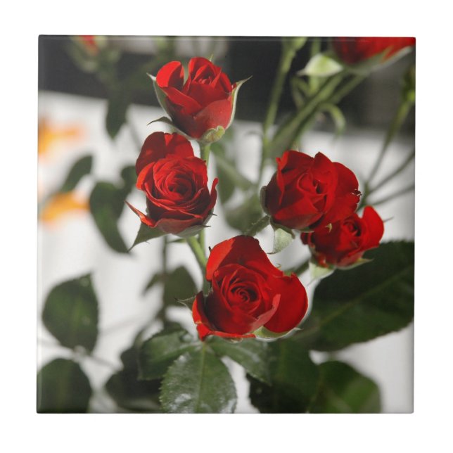 Red roses tile (Front)