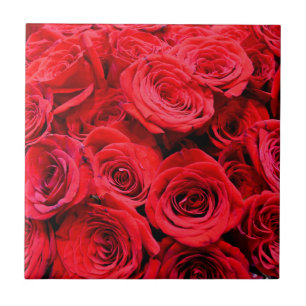 Red Roses Tile