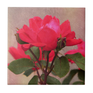 Red Roses Tile