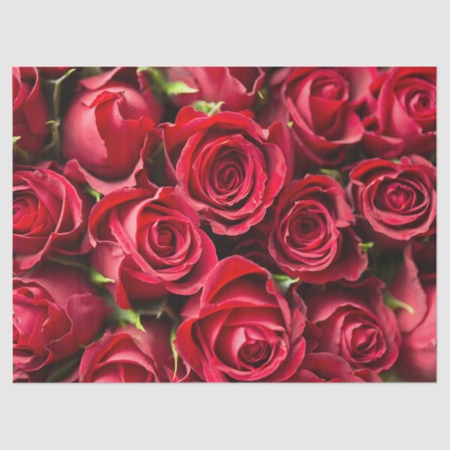 Red Roses Tissue Paper (Front)