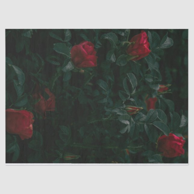 Red Roses Tissue Paper Decoupage Giftwrapping (Front)
