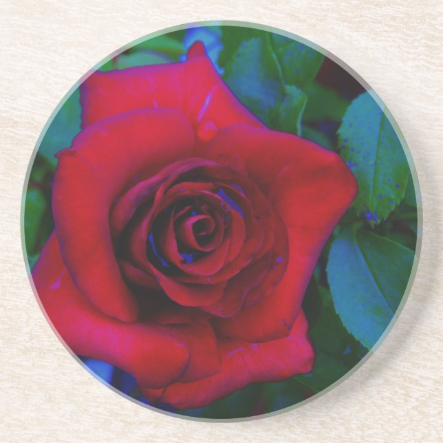 Red Roses with blue tones Coaster (Front)