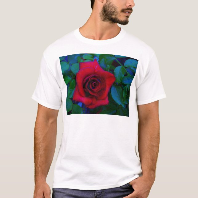 Red Roses with blue tones T-Shirt (Front)