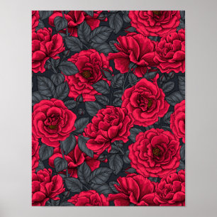 Red roses with grey leaves on black poster
