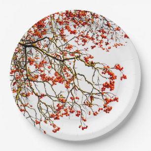 Red rowan fruits or ash berries paper plate