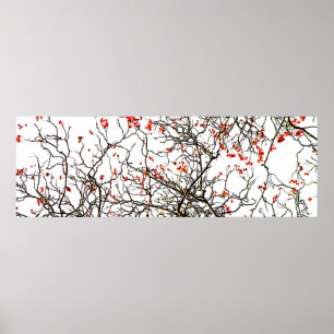 Red rowan fruits or ash berries poster