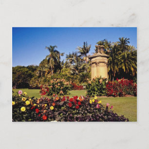 Red Royal Botanical Garden, Sydney, Australia flow Postcard