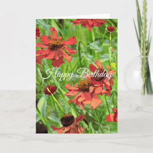 RED RUDBECKIA FLOWERS CARD